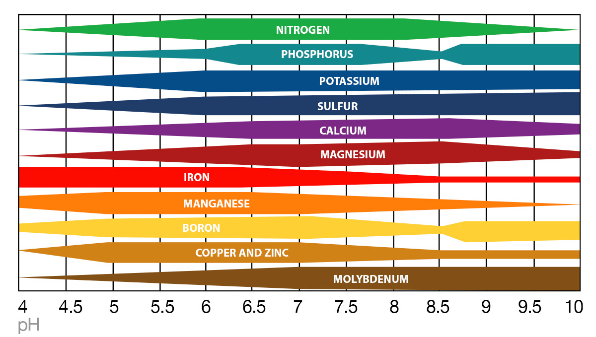 Tabla de pH para cultivo de cannabis